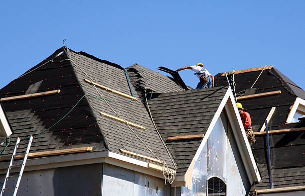 Best Roof Gutter Cleaning  in Perham, MN