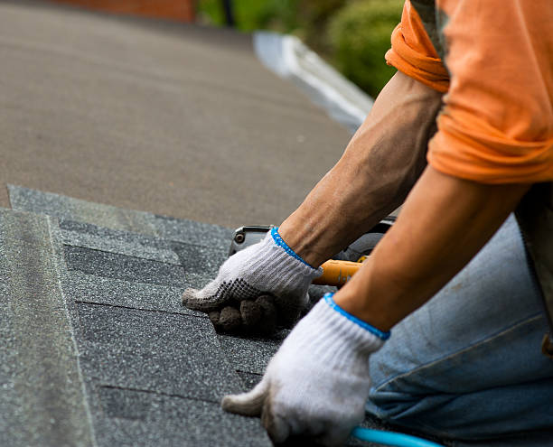 Best Metal Roofing Contractor  in Perham, MN