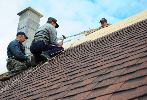 Best Best Roofing Contractors  in Perham, MN